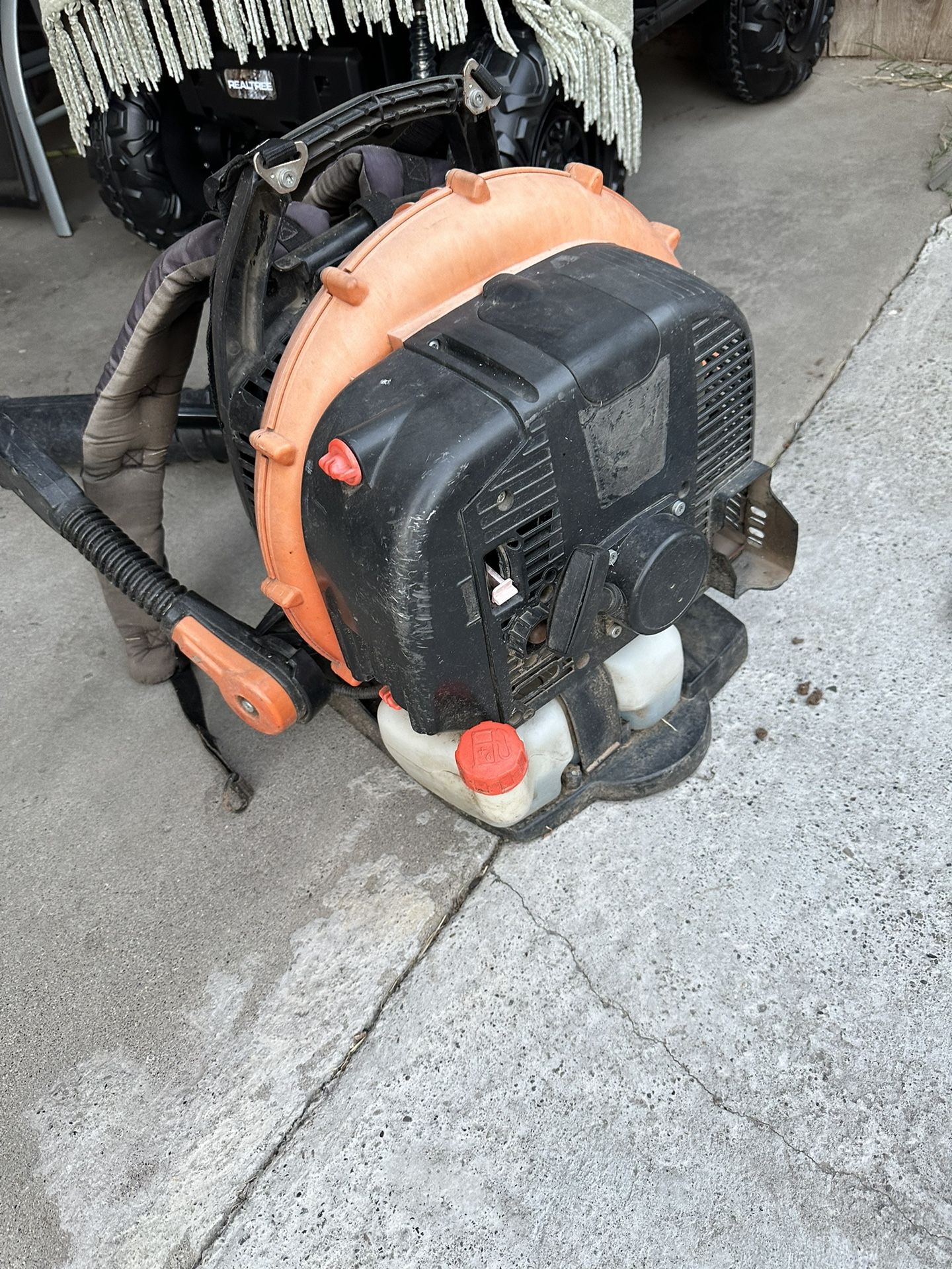 Echo Blower