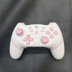 Nintendo Switch Controller 
