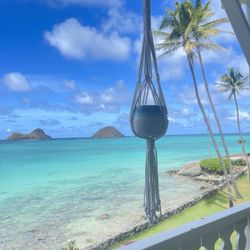 Macrame Plant Hangers