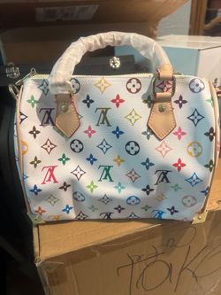 Louis Vuitton Multicolor Monogram Speedy Bag