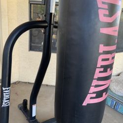 Everlast Dual 2- Station Heavy Bag Stand With Heavy Bag And Speed Bag  Boxing $150