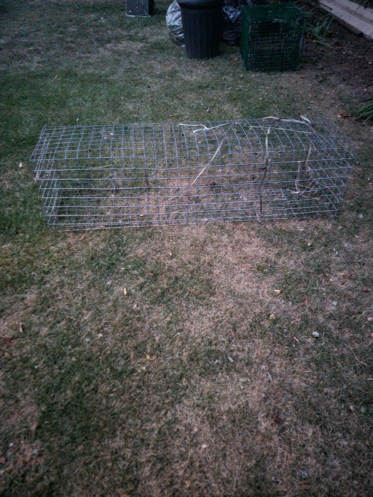 Crab Traps