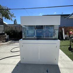 70 Gallon Saltwater Tank