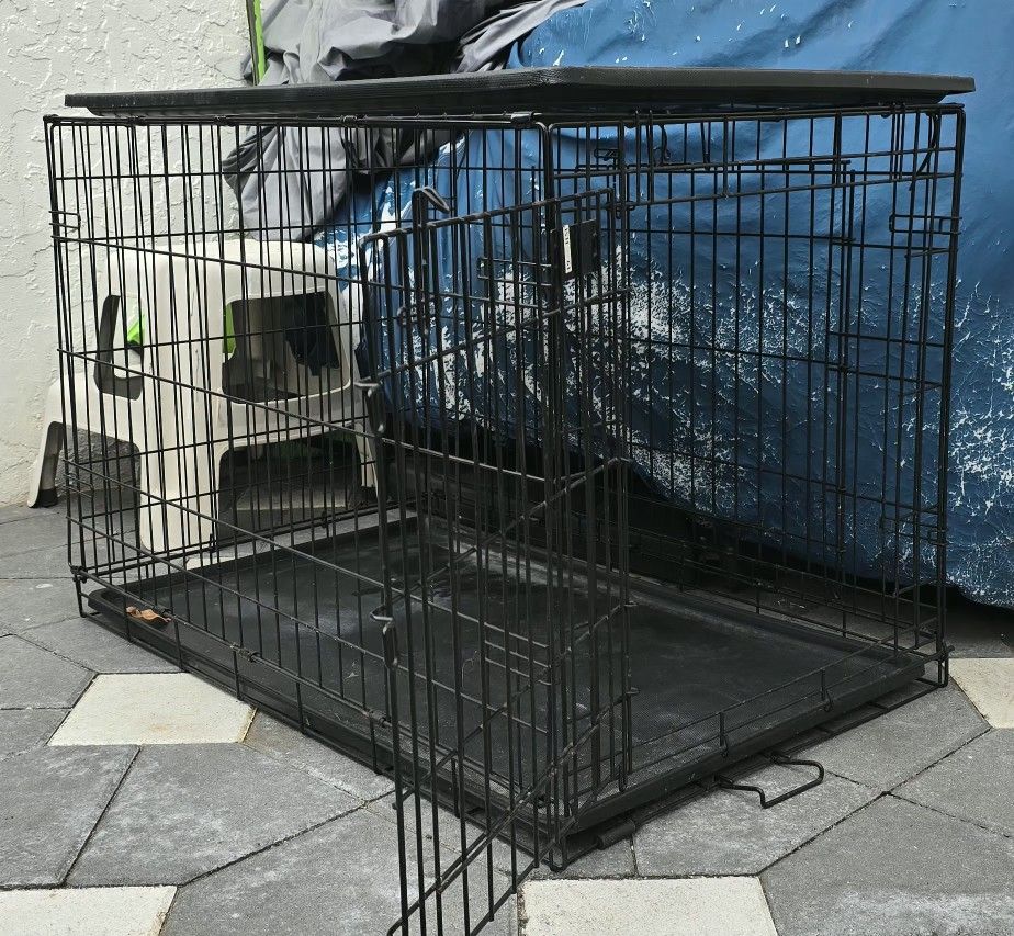 Under Pads And Vinyl Exam Gloves