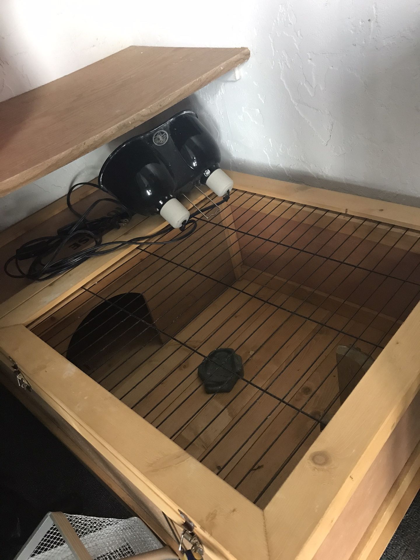 Tortoise House -wooden