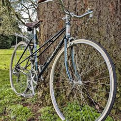 Raleigh Mixtie 1985 Step Through Design Bike