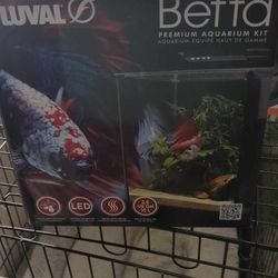 Betta Fish Tank