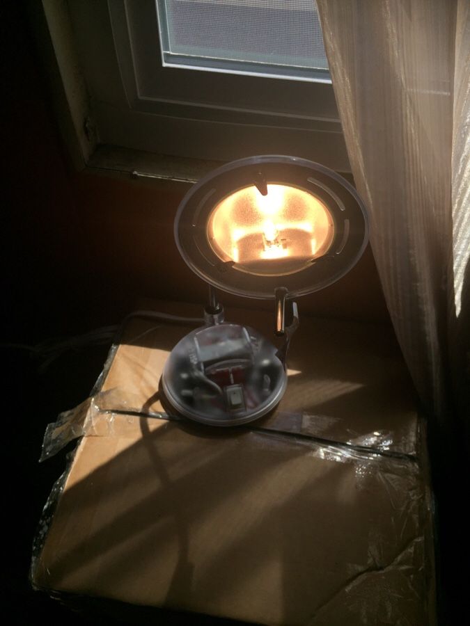 Desk lamp