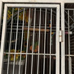Bird Cage 