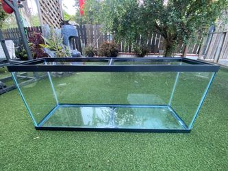 60 - 58 gallon fish tank
