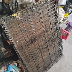 Extra Large Dog Cage And Box Full Of Dog Stuff