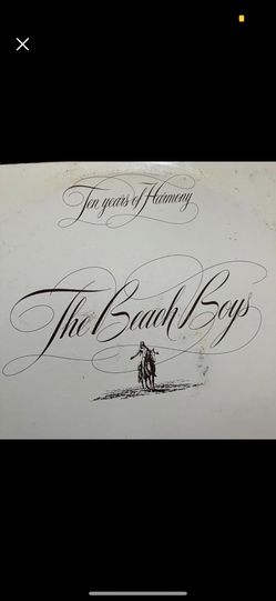 The Beach Boys Vinyl Record