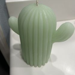 Cactus Candle