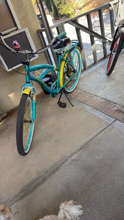 Two bicycles in good condition
