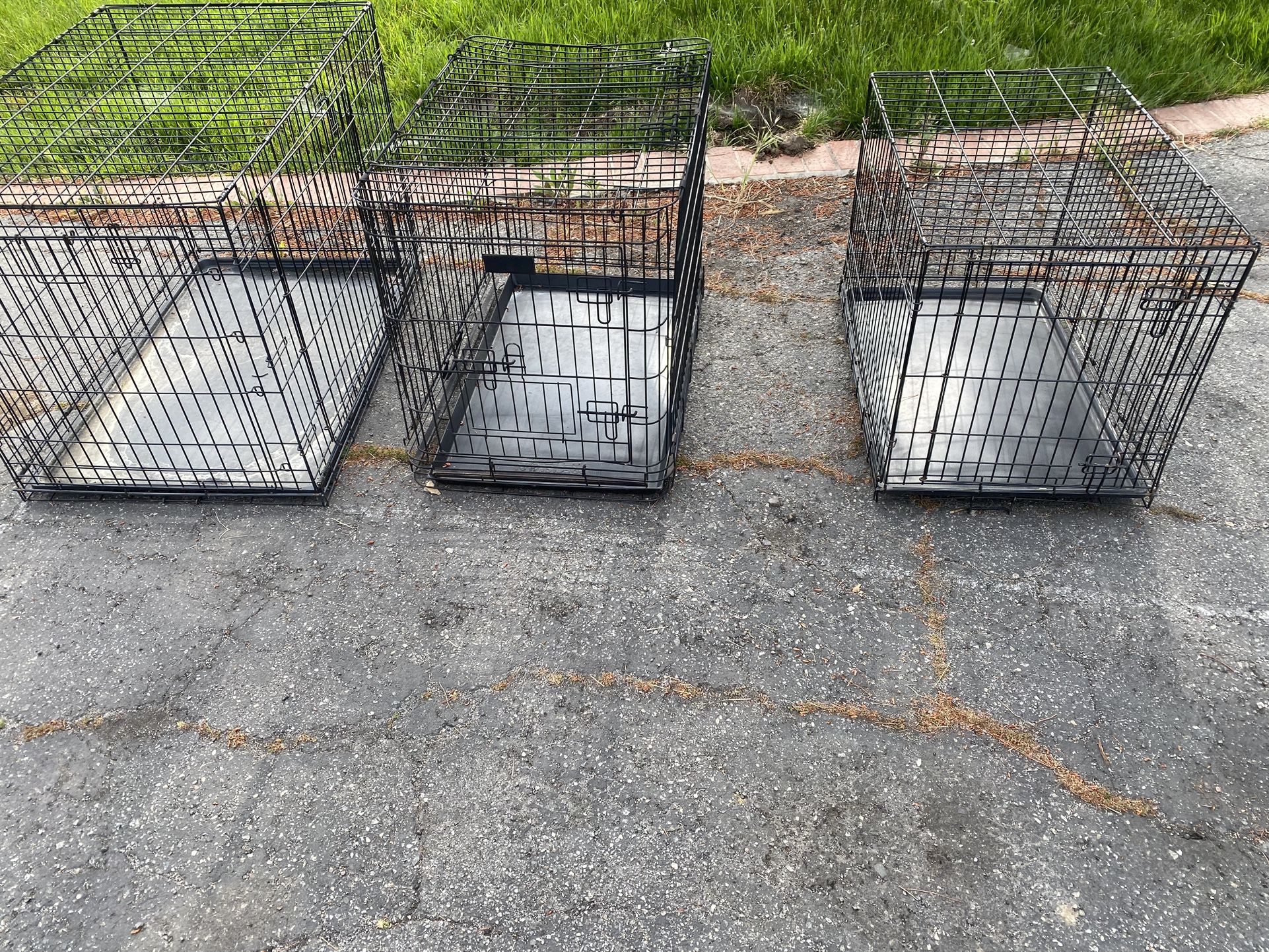 Dog Kennels /carriers 