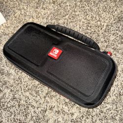 Nintendo carrying case