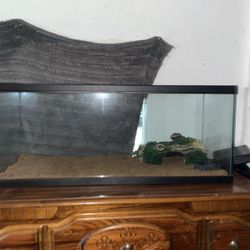 20 Gallon SnakeTank 