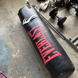 Everlast heavy weight punching bag