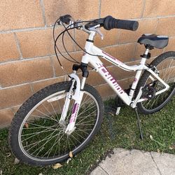  Schwinn Bike 26”