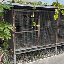 Dog crate o birds cage