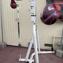 Aqua Punching Bag With Speed Bag