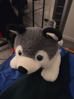 Stuffed Animal Husky