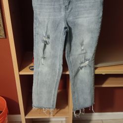 YMI Dream  Authentic Demim Size 7/28 