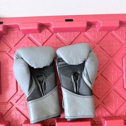 Punching gloves everlast