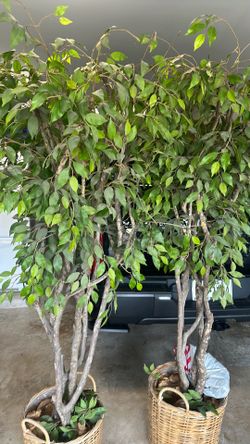 Plastic trees for indoor decoration