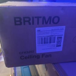 Britmo Ceiling Fan