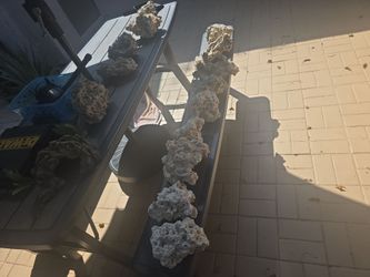 Live coral rock decor