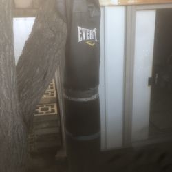 Everlast Punching Bag