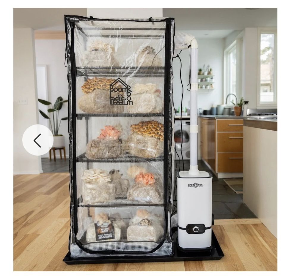 Mushroom Growing Tent and Laminar Flow Hood