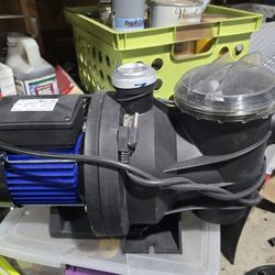 swimming pool pump