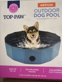 Dog Pool