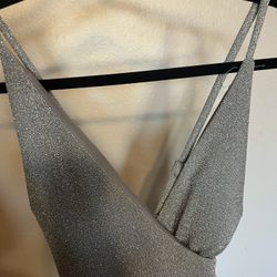 Shimmery Dress ✨