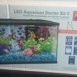 5 Gallons Aquarium Fish Tank Starter Kit 