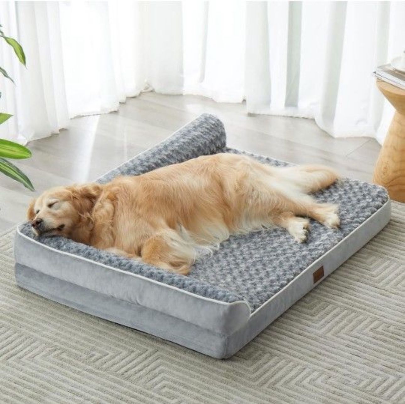 Orthopedic Dog Beds for Extra Large Dogs
