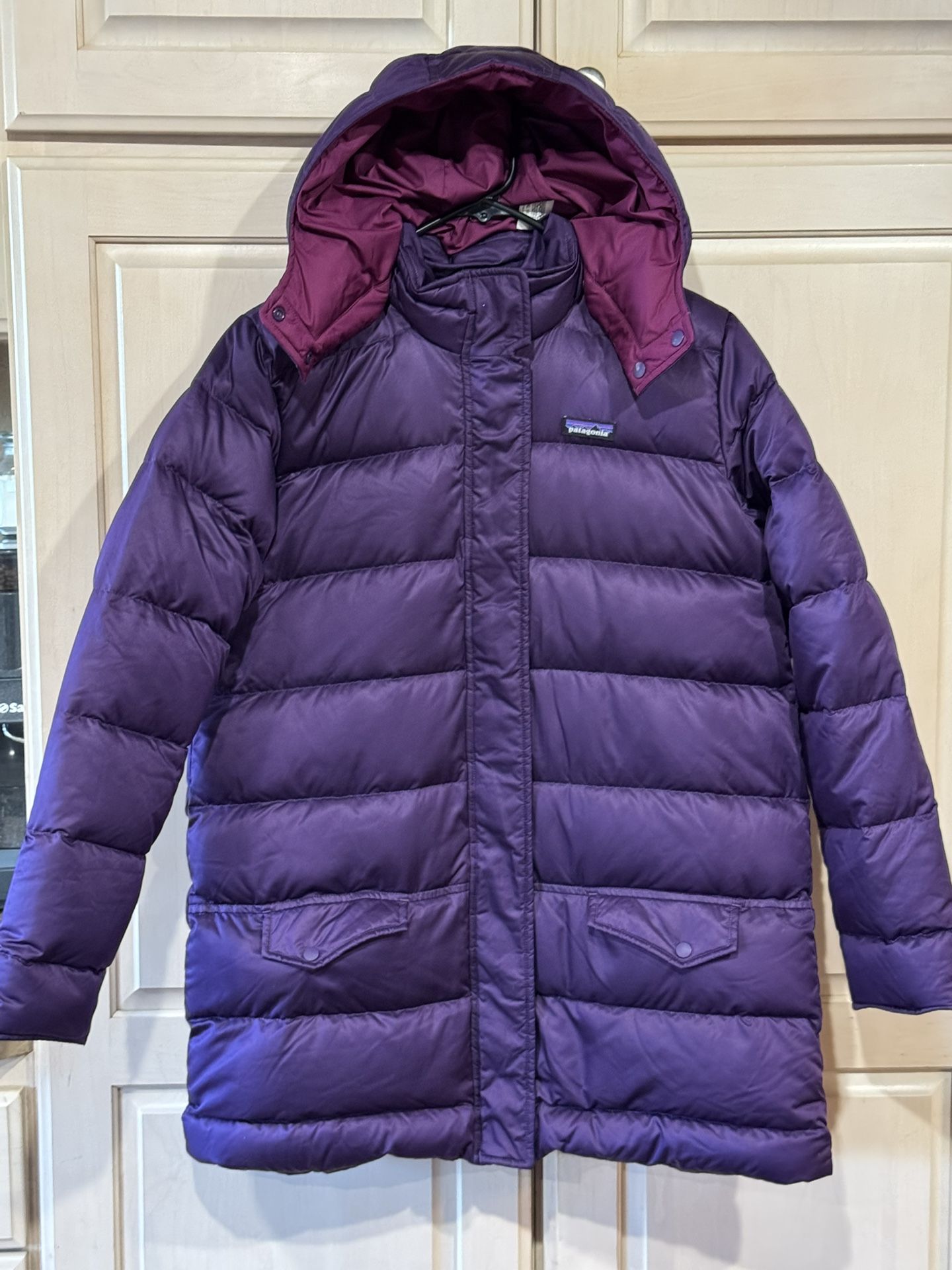 Patagonia Duck Down Winter Jacket