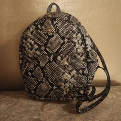 Aldo Backpack