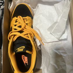 Nike Dunks 10.5 New 