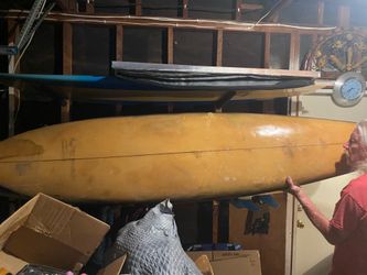 Bane Single Fin Longboard Surfboard w/ Fin & Custom Skull Artwork