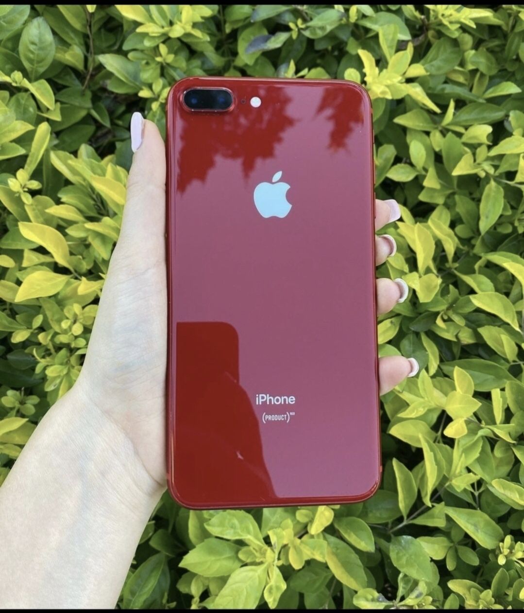 iPhone 8 Plus Unlocked With Warranty