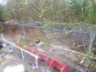 rabbit cages hand made