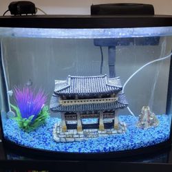 Fish Tank 