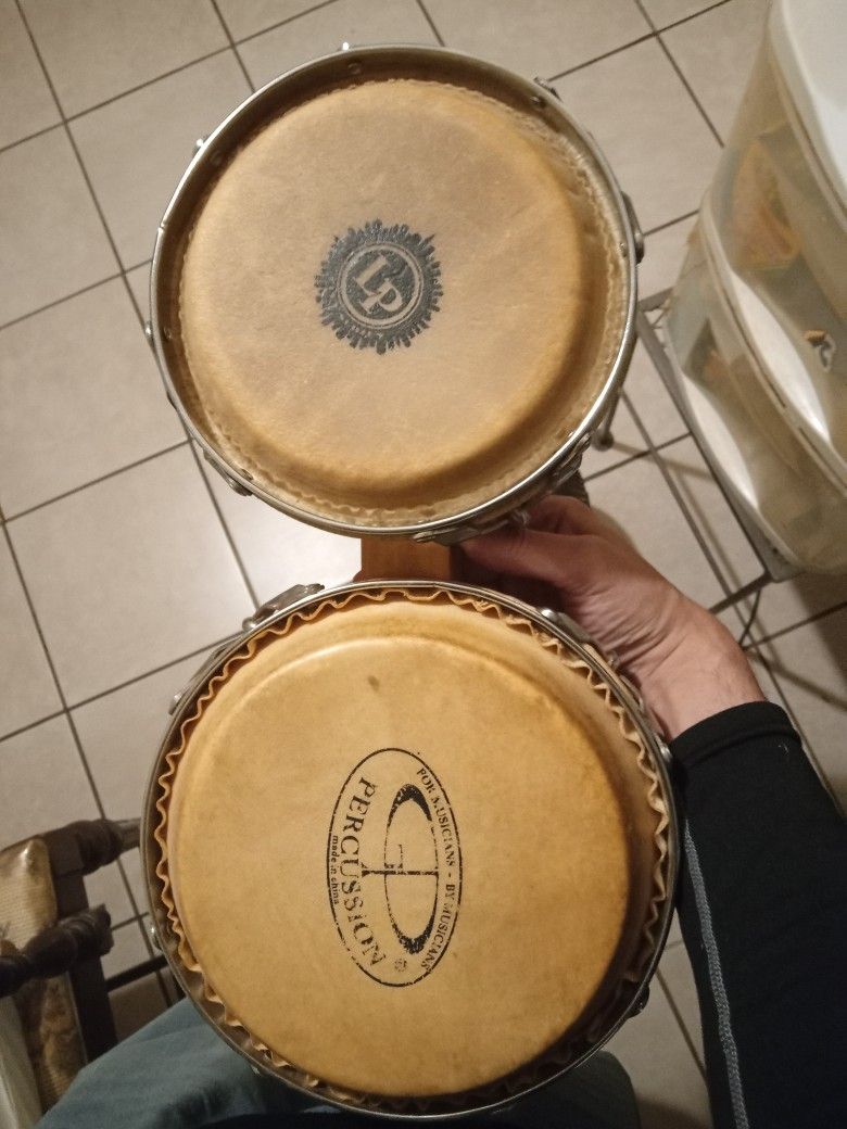 Bongo For Sale. LP Brand. Asking 35$ Firm.