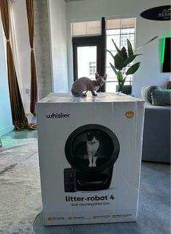 Litter - robot 4