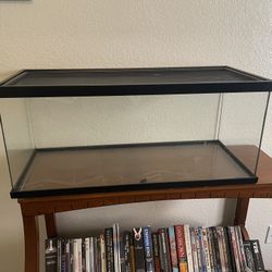 Reptile Enclosure