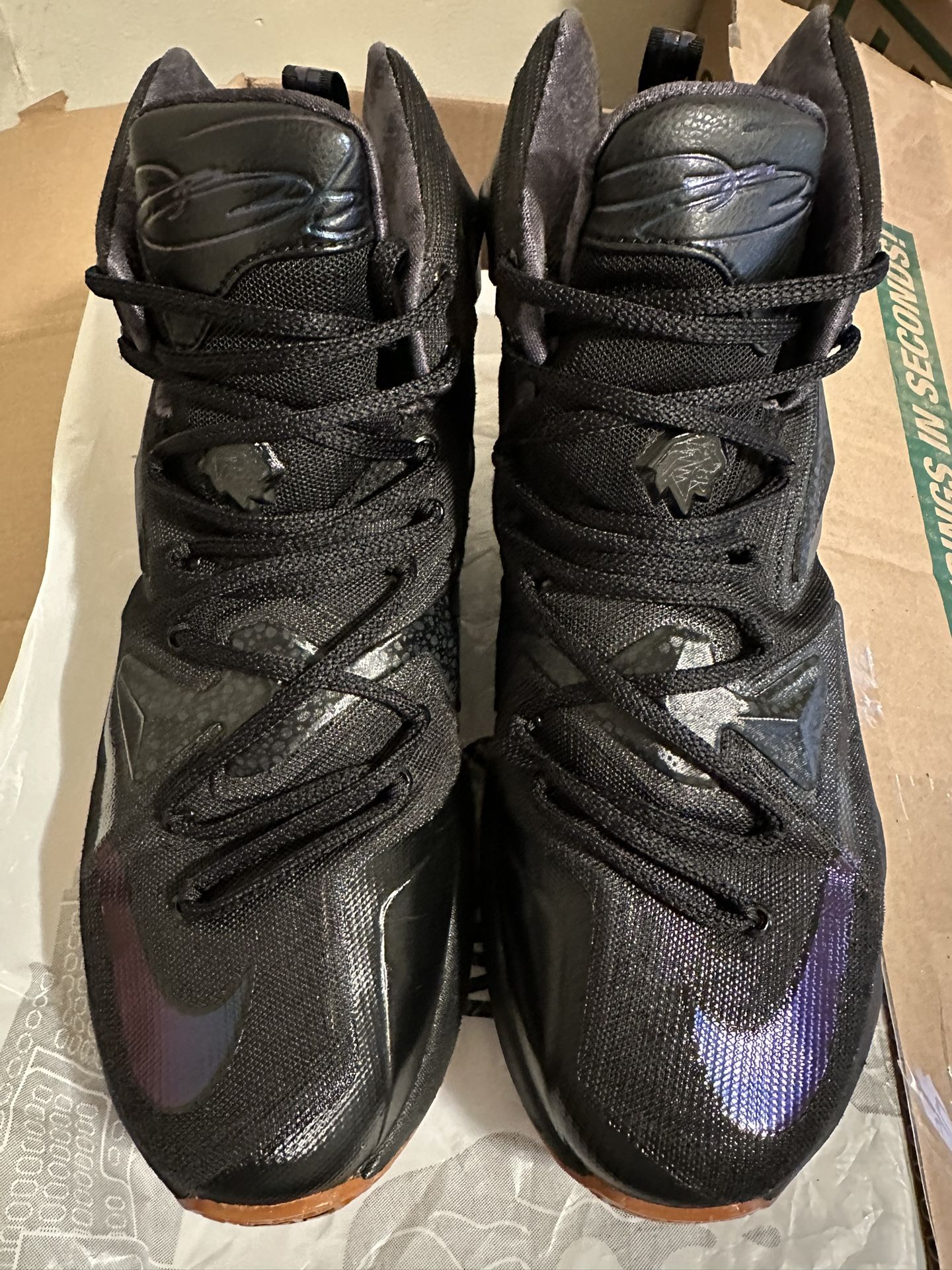 NIKE LeBron 13 Lion