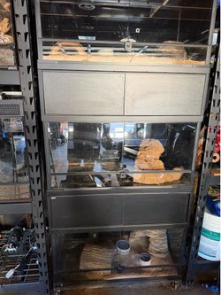 Reptile enclosure. Set